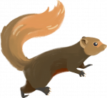 Animals_Squirrel